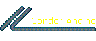 Condor Andino