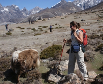 Amanda talking to a baby yak