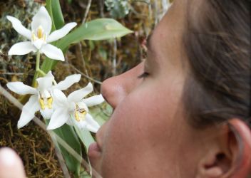 One must take time to smell the orchids...