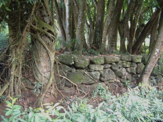 Ancient ruins of Polynesian settlements