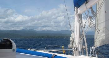 Ocelot roaring towards the Papua mainland