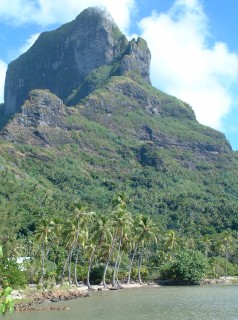 I absolutely LOVED the bicycle trip around Bora-Bora!