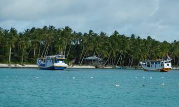 Seaweed farm and local boats, Tanimbar Islands