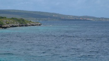 The leeward side of Bonaire promises calm water for easy shore dives.