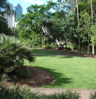 Brisbane's beautiful Botanic Gardens