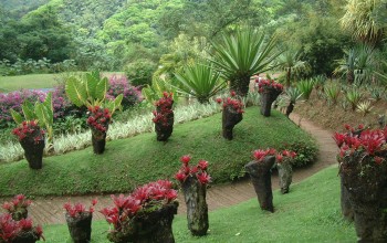 La Balata Botanical Garden, Martinique