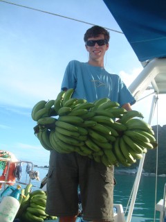 On pasage, we hang whole stalks of green bananas and try to eat them as fast as they ripen!