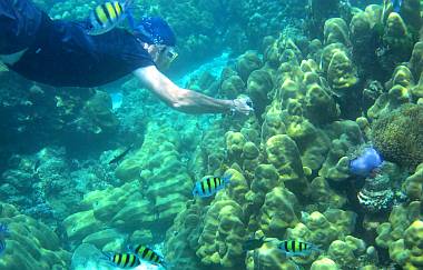 Dave shooting photos underwater at Ko Rok