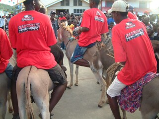 The local donkey race was a free-for-all of hoofs and bare feet.