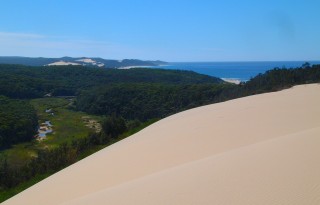 The dunes in Croajingolong NP extend for miles along the coast.