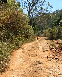Nasty road to Montagne d'Ambre Park