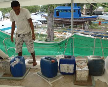 Golf & his garden of water jugs holding down epoxy repairs