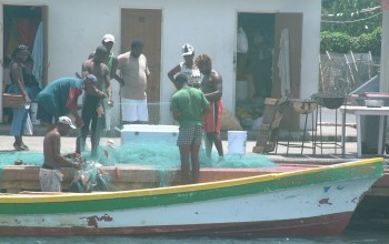Gros Islet Fishermen bringing in the catch