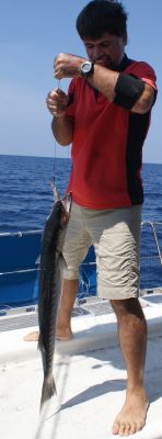 Jon lands a Blackfin barracuda