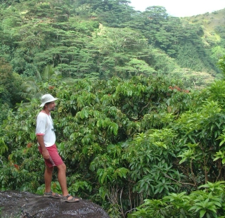 Lush hills of Nuku Hiva, Marquesas, French Polynesia