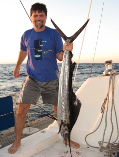 160 cm of Indian Ocean Sailfish!