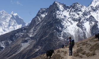 Chris converses with a yak under Kangtega (left)