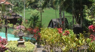 A beautiful garden and guest house in the Bali hills