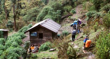 Lunch stop in the forest way below Tsokha, Skkim. India