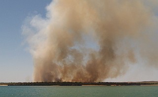 Slash and burn farming is a major destroyer of the environment