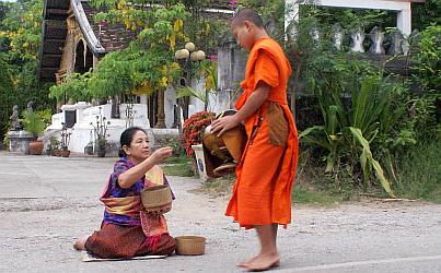 Young monk receiving alms in the early morning