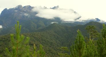 Cloudy, rugged peak of Mt Kinabalu, from Rose Cabin