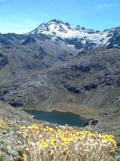 Pico Bolivar, Antojos Lake, and the frailejones flowers of the Andes