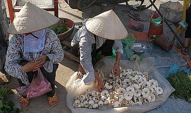 Mushroom vendors in the Dien Bien Phu open market