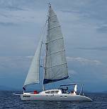 Ocelot sailing off the north coast of Borneo.