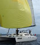 Ocelot sailing with her new (to us) spinnaker!