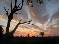 Okavango Sunset, Botswana