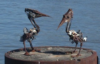 Cute folk "junk-art" of 2 pelicans in Brisbane