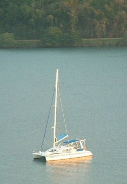 Ocelot, viewed from fort San Fernando in Portobelo