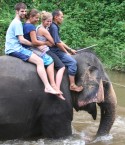 Chris, Amanda & Rachel at the elephant sanctuary, Malaysia
