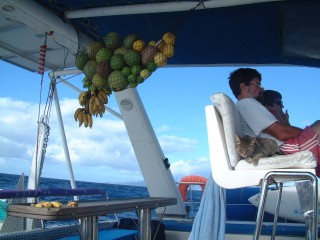 Our banana stalk ripened early, causing bananas to rain down as the boat rocked