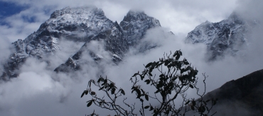 Misty mountains and rhodie above Lukla