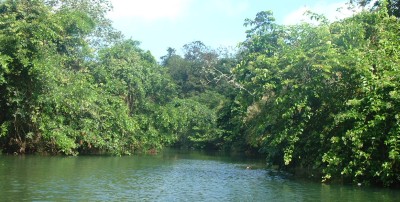 The beautiful Rio Diablo (Devil's River)