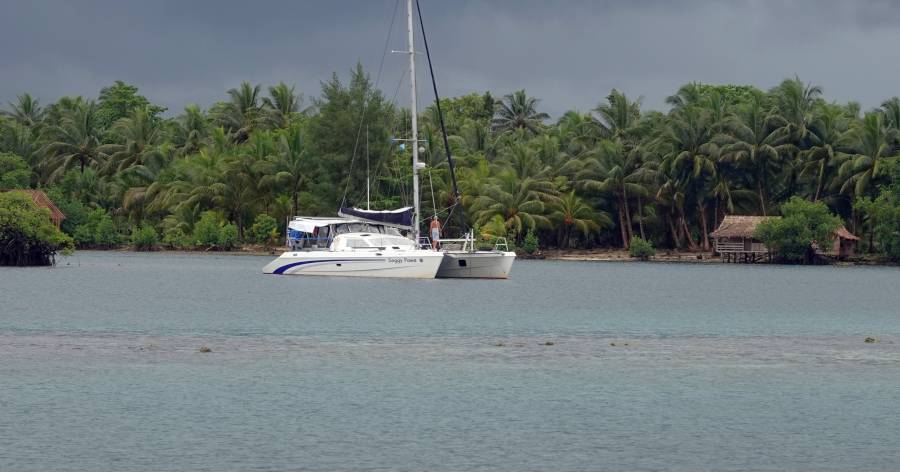 Soggy Paws and reef in front of Inia