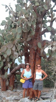 Sue and Amanda, dwarfed by an opuntia cactus in the Galapagos