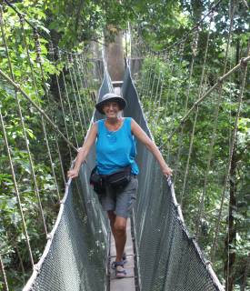 In the Borneo rainforest canopy, Poring Hot Springs, Malaysia