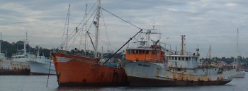Some of the decrepit fishing fleet at Suva