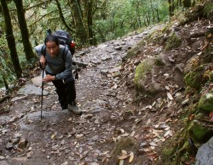 Thupten on the switchback trail below Tsokha, Sikkim, India
