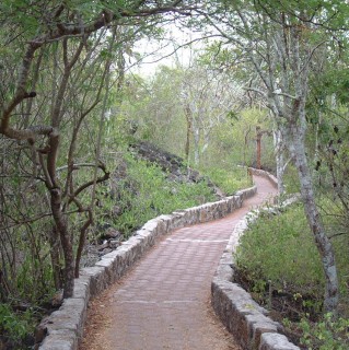 The trail out to Tortuga Beach was long but delightful