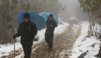 Trekkers on the slushy Tsokha to Dzongri trail, Sikkim, India