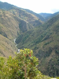 Green valleys and shining rivers...