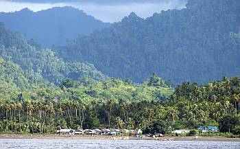 Small village under forested mountains, Sulawesi