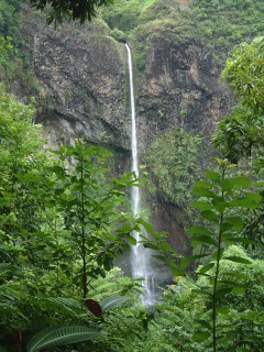 A glorious waterfall in western Tahiti, accessible via a 4 hour hike!