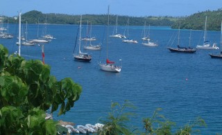 Neiafu Harbor, Ocelot is the last white boat on the right.